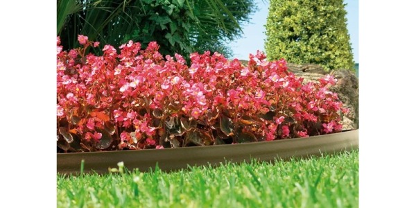 Empieza la primavera, que hacer con mi jardin